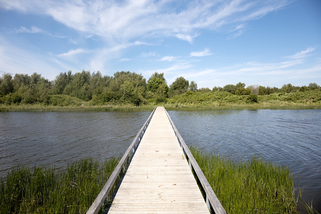 dintelse gorzen natuurgebied natuur natuurmonumenten schotse hooglanders brabant de heen landschap hdr